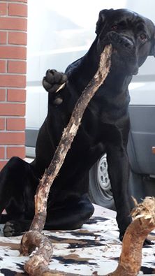 Maciejka przesyła pozdrowienia